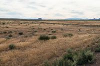 Landscape of Utah's San Rafael Swell with Red Rocks and Open Grass Field