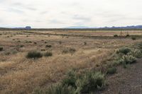 Landscape of Utah's San Rafael Swell with Red Rocks and Open Grass Field