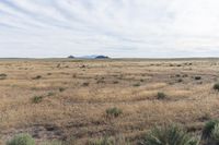 Landscape of Utah's San Rafael Swell with Red Rocks and Open Grass Field