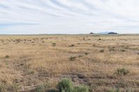 Landscape of Utah's San Rafael Swell with Red Rocks and Open Grass Field