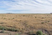 Landscape of Utah's San Rafael Swell with Red Rocks and Open Grass Field