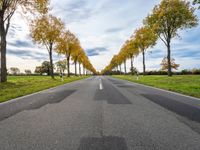 Landscape view of a road in Berlin, Germany