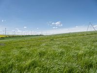 Landscape view of rural Germany with green fields and a windmill