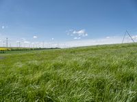 Landscape view of rural Germany with green fields and a windmill