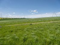 Landscape view of rural Germany with green fields and a windmill