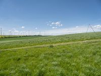 Landscape view of rural Germany with green fields and a windmill