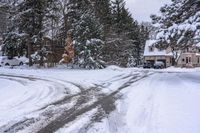 the road is littered with snow and pine trees near the road intersection at the end of the road