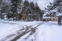 the road is littered with snow and pine trees near the road intersection at the end of the road