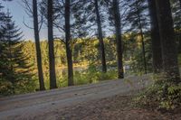 a gravel road is going up the hill towards a tree filled hillside in the background