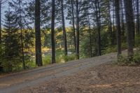 a gravel road is going up the hill towards a tree filled hillside in the background