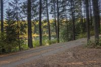 a gravel road is going up the hill towards a tree filled hillside in the background