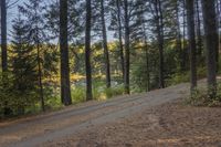 a gravel road is going up the hill towards a tree filled hillside in the background