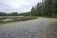 a gravel path next to a lake surrounded by trees and grass with a wooden post