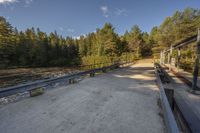 an empty highway leading to a large wooded area with trees on both sides of the road