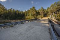 an empty highway leading to a large wooded area with trees on both sides of the road