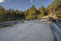 an empty highway leading to a large wooded area with trees on both sides of the road