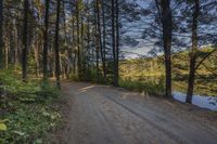 a road going to a body of water with trees in the distance and blue skies above