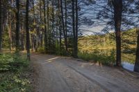 a road going to a body of water with trees in the distance and blue skies above