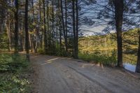 a road going to a body of water with trees in the distance and blue skies above