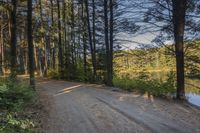 a road going to a body of water with trees in the distance and blue skies above