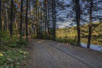 a road going to a body of water with trees in the distance and blue skies above