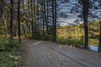 a road going to a body of water with trees in the distance and blue skies above