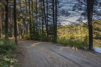 a road going to a body of water with trees in the distance and blue skies above