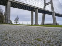 a large bridge spanning over a park with grass and brick sidewalking area below it