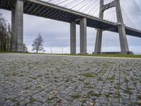 a large bridge spanning over a park with grass and brick sidewalking area below it