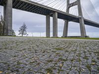 a large bridge spanning over a park with grass and brick sidewalking area below it