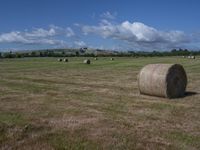 round bales are in a large field filled with hay and trees on a hillside