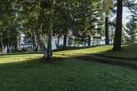 a large grassy area with trees in the background and boats on the water in the distance