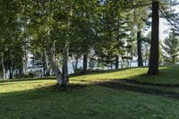 a large grassy area with trees in the background and boats on the water in the distance