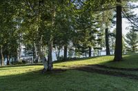 a large grassy area with trees in the background and boats on the water in the distance