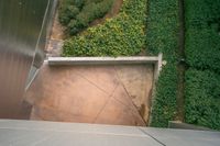 an outdoor area with various green plants and plants growing on the walls, looking down