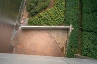 an outdoor area with various green plants and plants growing on the walls, looking down