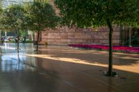 the walkway to the convention center has trees along the sidewalk leading into it and through the lobby