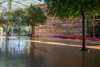 the walkway to the convention center has trees along the sidewalk leading into it and through the lobby