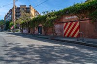 a empty street next to several tall brick buildings with green vines on it's side