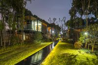 a lighted pathway through the woods leads to two cabines on one side of the house and a tree lined pathway to the other