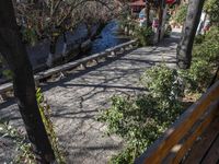 many small ducks are walking near the bridge and trees while others are sitting by the water