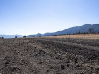 a dirt road through a dry field with mountains in the back ground behind it and some grass on the sides