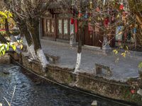 the canal near a traditional house, with decorations hanging in a tree and lanterns in the branches