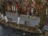 the canal near a traditional house, with decorations hanging in a tree and lanterns in the branches