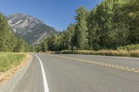 Lillooet, British Columbia: Forest Road Through the Canadian Wilderness