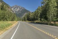 Lillooet, British Columbia: Forest Road Through the Canadian Wilderness