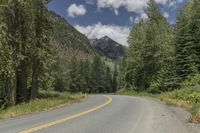 Lillooet Highlands: A Road through Forest and Nature