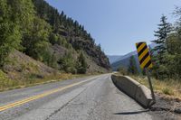 Lillooet Landscape: Mountain Forest 001