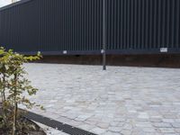 Lines, Walls, and Floors: Tile in Berlin