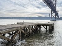 a dock in front of a large bridge over the water with birds sitting on it